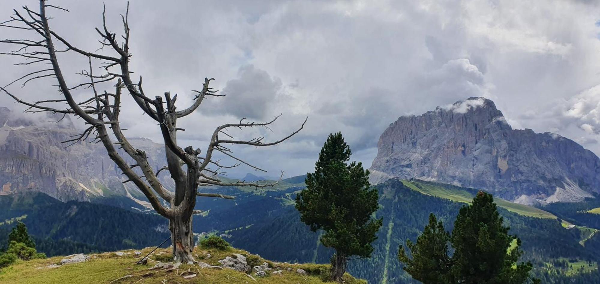 Garni Hotel Iris Selva di Val Gardena Exterior foto